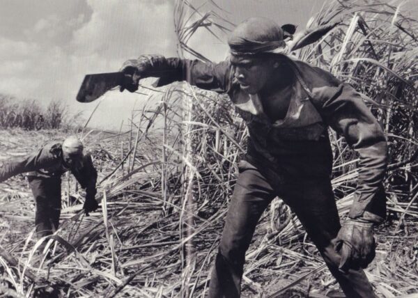 SALGADO, Sebastiao.  Workers: An Archaeology of the Industrial Age. - Image 3