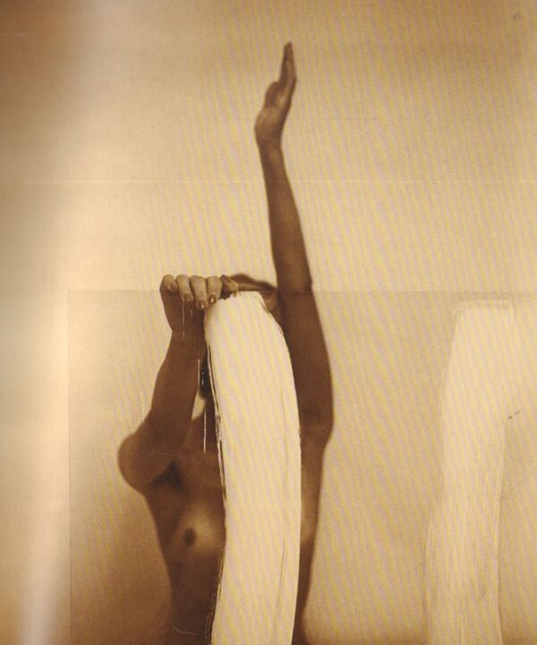 (SOLD): ZIDLICKY, Vladimir.  Zidlicky 1970-2007. - Image 2