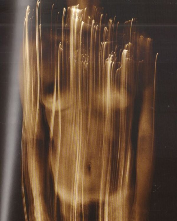 (SOLD): ZIDLICKY, Vladimir.  Zidlicky 1970-2007. - Image 4