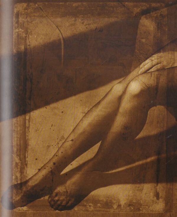 (SOLD): ZIDLICKY, Vladimir.  Zidlicky 1970-2007. - Image 6