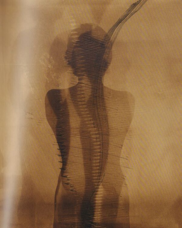 (SOLD): ZIDLICKY, Vladimir.  Zidlicky 1970-2007. - Image 7
