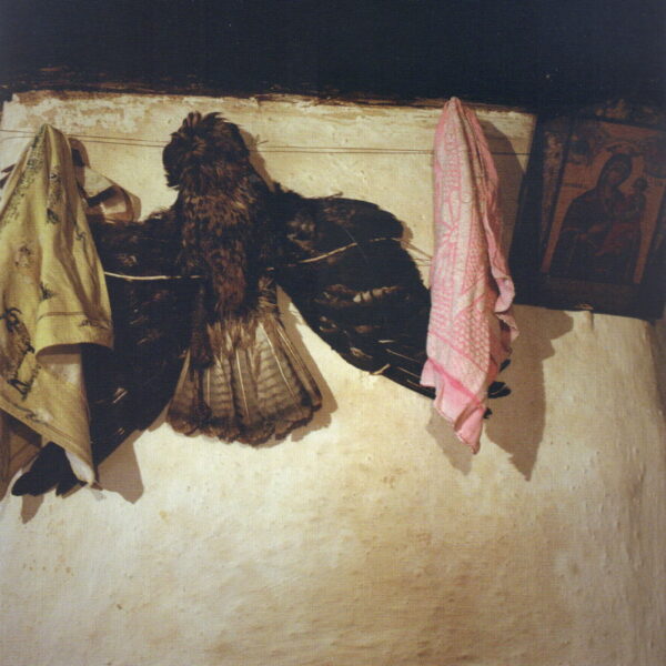TOCCI, Chiara.  Life after Zog and other stories. - Image 2